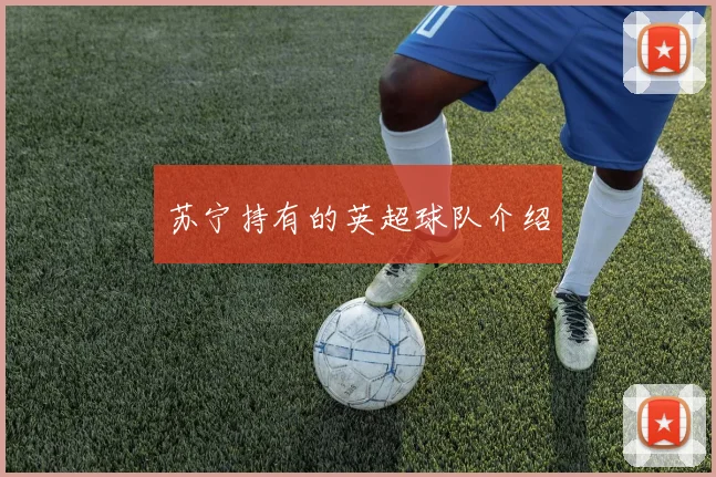 苏宁持有的英超球队介绍