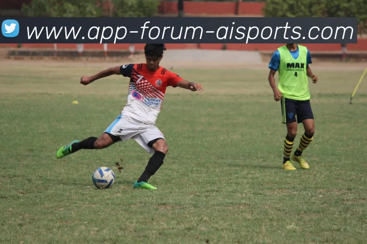 爱体育APP平台生态图